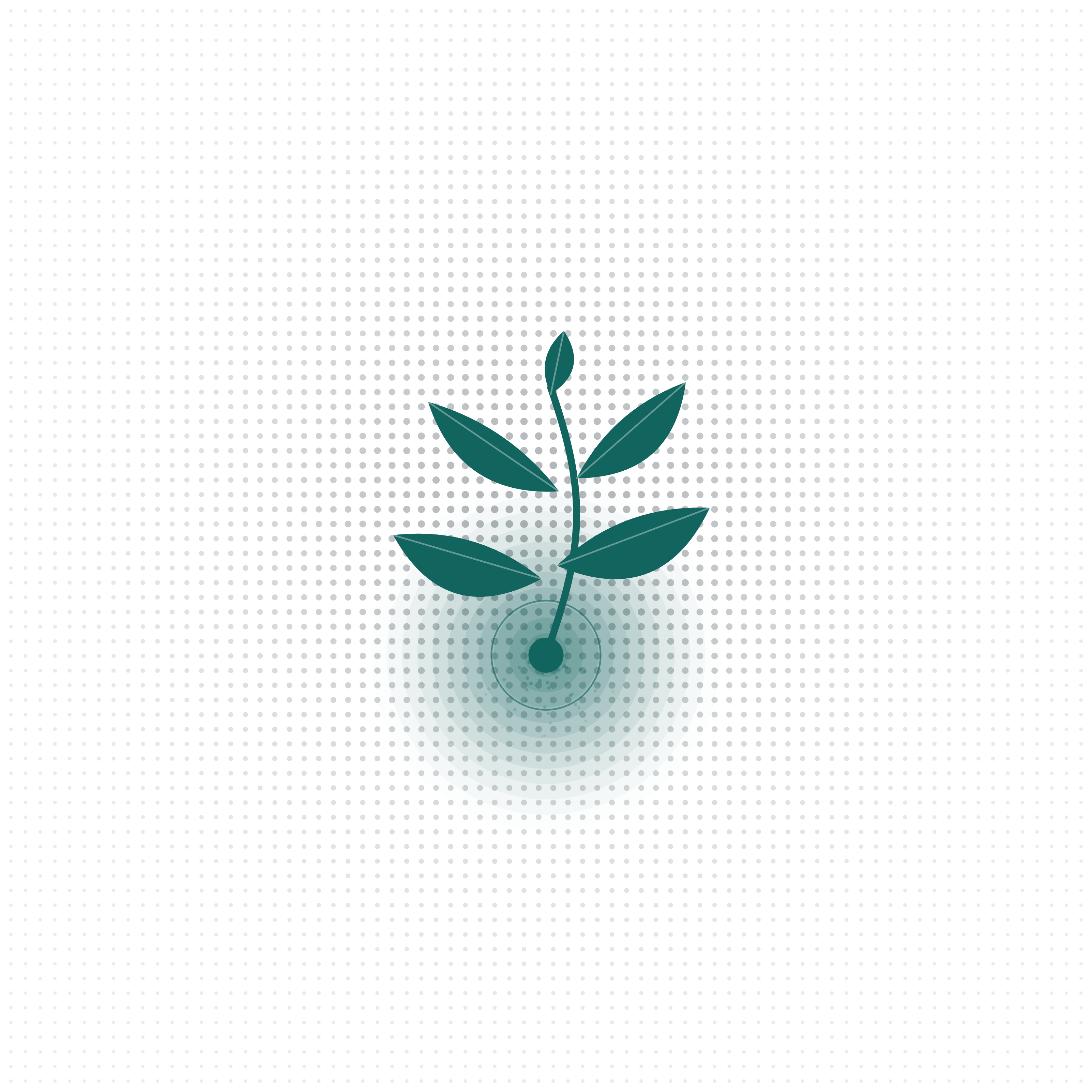 Infant ( 3 - 12 Months)